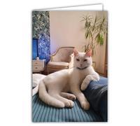 68-4018 Photo Card Cat White Animal Cute Nice Rest Cocooning Closed Format 17 x 11.5 cm White Interior to Write Your Message - Comes with an Envelope - Created and Made in France