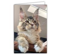 68-4020 Photo Card Cat Animal Cute Nice Calm Rest Cocooning Closed Format 17 x 11.5 cm White Interior for Writing Your Message Comes with an Envelope - Creation and Made in France