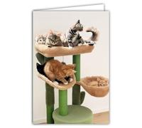 68-4026 Photo Card Cat Tree Cute Animals with Cocooning Rest Closed Format 17 x 11.5 cm White Interior for Writing Your Message Comes with an Envelope Made in France