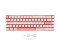 68 Keys Mechanical Keyboard, 60% RGB Gaming Keyboard, USB C Wired Mechanical Keyboard with Blue Switch, Anti Ghosting, Hot Swappable, RGB Backlit for Computers, Cherry Blossom Them