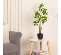 68cm Real Touch Pieris Tree Scottish Everlastings Ltd Green One Size