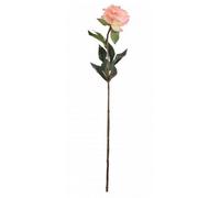 68Cm Single Peony 2 Pack - Peach