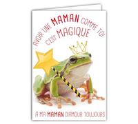 69-6216 Humorous Message Card with Illustrated Envelope 17.5 x 12 cm Green Frog Animal Funny with Magic Wand Creation Made in France