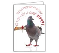 69-6224 Card Departure to New Adventures Humorous Message with Illustrated Envelope 17.5 x 12 cm Pigeon Funny for Moving or Retirement Design Made in France