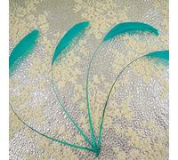 69 Colours Choices 5/7" Loose Stripped Coque Feathers for Millinery Hats Trimming Fascinators Craft Decorating Dancing Costume Making (Peacock #69, 10pcs)