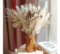 69pcs Various Dried Pampas Grass Décor, 17in Pampas Grass for Flower Arrangements, Boho Wedding Party Home Decor