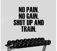 69x57cm No Pain No Gain Quote Phrase Removable Decal for Gym Center PVC Material Vinyl Wallpaper Art Wall Stickers Wateproof Mural Home Deco