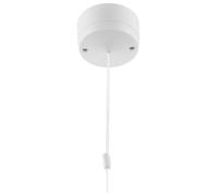 6A 1W Ceiling Sw 801-01