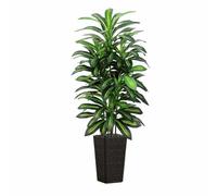 6FT Artificial Dracaena Plants, Tall Tropical Fake Plant with Black Tall Planter, 180cm Large Faux Artificial Yucca Tree in Pot for Indoor Outdoor Home Living Room Office Modern Decor