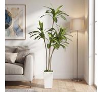 6FT Artificial Dracaena Tree, Tall Fake Plant with 5 Realistic Trunks in White Pot, Large Artificial Plants Indoor, Faux Tree for Living Room, Office and Home Décor