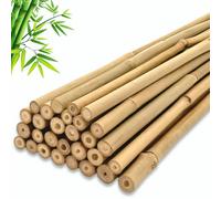 6Ft Bamboo Canes Pack Of 60 Natural Plant Support Stakes For Tall Climbing Plants Vegetables Garden Outdoor Or Greenhouse Use