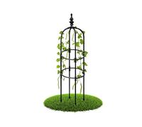6ft Metal Garden Trellis for Climbing Plants Durable Obelisk Support for Roses Sweet Peas Clematis and Vegetables Indoor Outdoor Plant Frame (Black 25x150cm)