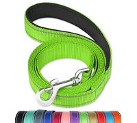 6FT Reflective Dog Leash with Soft Padded Handle for Training,Walking Lead for Large & Medium Dog,1 Inch Wide,Green