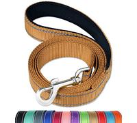 6FT Reflective Dog Leash with Soft Padded Handle for Training,Walking Lead for Large & Medium Dog,1 Inch Wide,Khaki