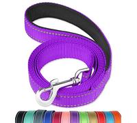 6FT Reflective Dog Leash with Soft Padded Handle for Training,Walking Lead for Large & Medium Dog,1 Inch Wide,Purple