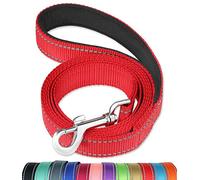 6FT Reflective Dog Leash with Soft Padded Handle for Training,Walking Lead for Medium & Small Dogs,3/4 Inch Wide,RED