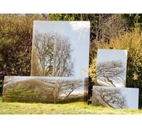 6ft x 2ft 6in Large Gold Garden Mirror - by Reflect™ Primrose Silver One Size