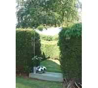 6ft x 4ft Extra Large Garden Mirror - by Reflect™ Primrose Silver One Size