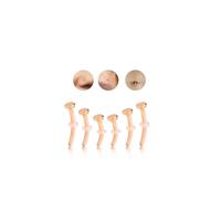 6ixGosh 3Pair 14G 16G 18G Glass Piercing Retainers for Eyebrow Rook Cartilage Nose Piercing Jewelry Clear Curved Belly Button Ring Glass Barbell Conch Daith Tragus Tongue Retainer, 7