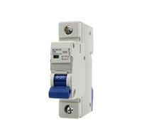 6KA 6000A 110V/220V Curve C MCB DPN 1P 6A/6A/20A/32A/63A LED color indicatorMini Circuit Breaker(25A)