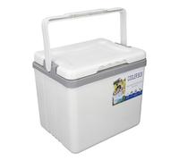 6L Portable Cooler Box, Insulated Cooler Box with Large Capacity, Keeps Food and Drinks Cold for Hours, Hard Case Ice Chest for Camping Picnic Fishing Outdoor Use (White)