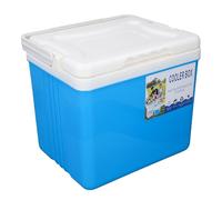 6L Portable Cooler Box, Insulated Cooler Box with Large Capacity, Keeps Food and Drinks Cold for Hours, Hard Case Ice Chest for Camping Picnic Fishing Outdoor Use (Blue)
