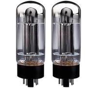 6L6Wgc Tube Replacement Set, 2 Pieces For 6P3P 6L6Gc, Hifi Stereo Amplifier, Glass & Metal
