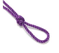 6mm Silky Barley Twist Cord Rope Braid 3 Ply & Matching 16mm Flanged Insertion Piping Furnishing Upholstery Crafts Trimming,36 Colors. High Strength, Neotrims. 10 Yards, Purple (Cord)
