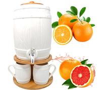 6PC Barrel Dispenser Drink Water Cocktail TAP Juice Punch Party Glass Mug JAR