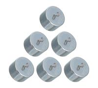 6pcs 100g Iron Calibration Weight Set Silver Hooked | For physics experiments and laboratories, precision mass adjustment, sturdy iron build, versatile scale calibration