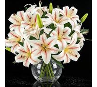 6PCS Artificial Lilies Flower Set, 3D Printing Realistic Fake Lilies with 12 Heads and 6 Buds, Short Stem Artificial Lily Flowers for Vase, Home Décor, Wedding, Mothering Sunday, Gift Arrangement