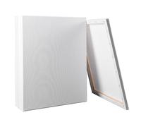6PCS Artist Blank Canvas Frame, 100% Cotton Pre-Stretched Canvas Artist Blank Canvas Triple Primed/Acid Free/Medium Grain/Professional Artist Acrylic Paint, Oil Paint for Painting (20CM X 30CM)