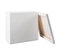 6PCS Artist Blank Canvas Frame, 100% Cotton Pre-Stretched Canvas Artist Blank Canvas Triple Primed/Acid Free/Medium Grain/Professional Artist Acrylic Paint, Oil Paint for Painting (20CM X 20CM)