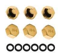 6PCS Brass Blanking Cap 1/2 inch,Female Blanking Stop Caps,Hex Brass Blanking Nut Caps,Plumbing Fittings for Washing Machine Radiator Valve faucets Tap