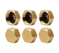 6Pcs Brass Radiator Blanking Caps, Leak-Proof Female Blanking Stop Cap with Washers, Pipe Fitting Caps for Washing Machine Radiator Valve Faucets Tap Pipe and DIY Repairs