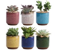 6Pcs Ceramic Plant Pot Small Mixed Pattern Ice Crack Design Outdoor Garden Decor