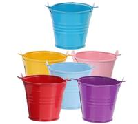 6pcs Colorful Small Iron Bucket with Handle for Plants and Flowers