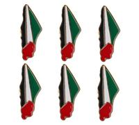 6pcs Flag Brooch Pin Badge Not Lapel Pin Patriotic Pins Badges Delicate Aesthetic Brooch Pin Badge Pin Bobby Authentic Badge Accessories for Key National with Has Zinc Alloy