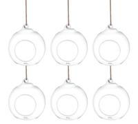 6pcs Glass Terrarium Hanging Vase with Rope Flat Bottom | Mini and Succulent Plants, Vestibule or Tabletop Decor, Home Display Set with Six Pieces