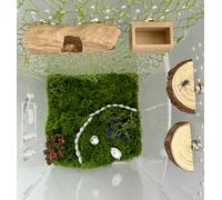 6Pcs Jumping Spider Accessories Set,Tree Jumping Spider Climbing Toy with Cave, Jumping Spider Feeder,2 Wooden Platforms and 2 Green Moss Ribbons,Small Reptile Enclosure Decoration Accessories