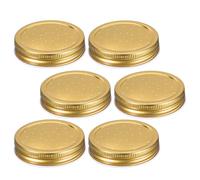 6pcs Mason Jar Feeder Lid for Beehive Entrance, Iron Perforated Cap