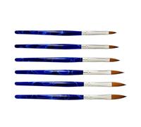 6pcs Nail Art Brush Pen Set for Gel Polish, Fine Line Detailing | Blue Acrylic and Aluminium, Nylon Bristles, Easy Water Cleaning, for Nail Art Training and Manicure