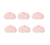 6pcs Sea Urchin Shell Conch Flowerpot for Air Plants, Creative Decor