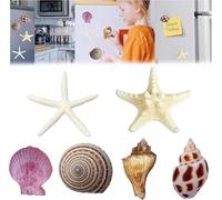 6Pcs Seashell Fridge Magnets Cute Decor marine life Plants Accessories DIY Refrigerator Magnets Strong Decorative for Kitchen Room DecorD)