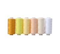 6Pcs/Set Sewing Threads Set for Machine Hand Embroidery Polyester 250 Yard Each Spool 36 Color Home Kit Ideal for Arts & Crafts(Light Color Series)