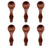 6pcs Small Wooden Spoons, 3.94in Phoebe Wood Mini Condiment Spoons Brown Tiny Spoons for Spices Round Scoop Wooden Teaspoons Soup Spoons for Sugar Honey Sauces Dips Mustard Spices Cooking