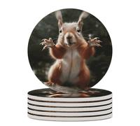 6PCS Squirrel Funny Animal Coasters Non-Slip Round Drink Coasters with Ceramic Stone and Cork Base, Heat Resistant Absorbent 33.00Stone Coaster Set for Kinds of Mugs and Cups, 4 Inch