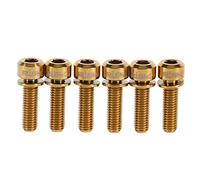6Pcs Stem M5 X 18Mm Road Bike Stem With Washer, Titanium Bolts M5 Titanium Bolt M5 Bolts Gold Tc4 Alloy Stem Bike Stem Screw Bike Stem, M5 Titanium Bolt, M5 Bike Screws, Bolts Gold With Washer, M5