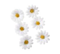 6PCS Sun Flower Hairpin For Female Bright Color Daily Flower Hair Clip Barrettes Sidebangs Clip For Women Girl Hairstyle
