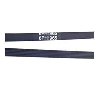 6PH1965 Belts Washing Machine Or Dryer Belt， 1965mm 6ph/6ph1965/1965h6/481235818186